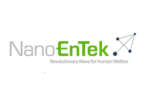 Logo NanoEntek